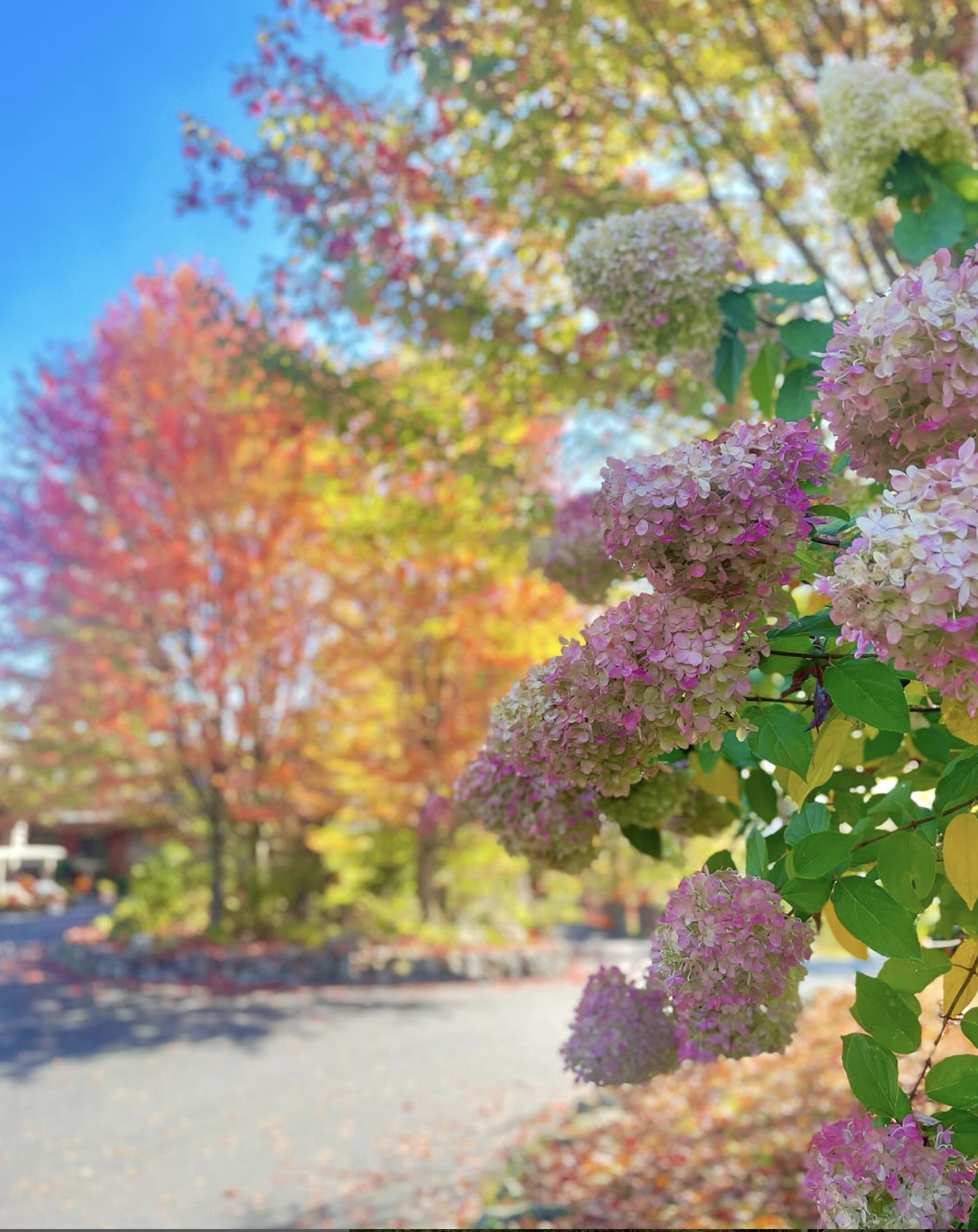 The Point Resort in the fall season